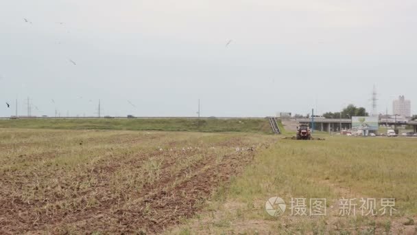 一侧和后面的观点的农用拖拉机 犁地播种 向右转弯。耕作 作物视频