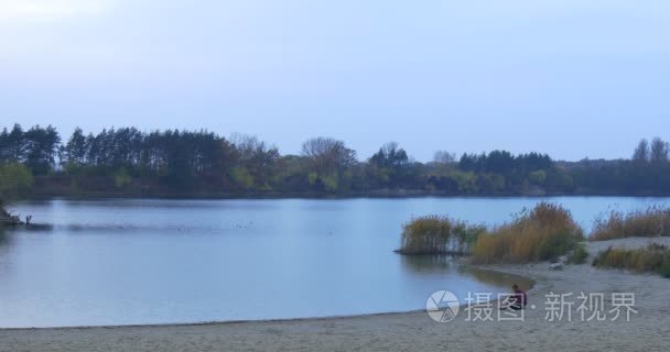 在沙质河岸景观树木剪影读者在绿色和黄色的草藤树生长顺利黄昏的书的人水初秋的傍晚