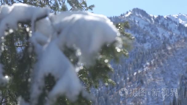 冬山风景视频