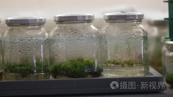 植物组织培养实验室管视频