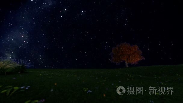 孤独的树，间隔拍摄星空