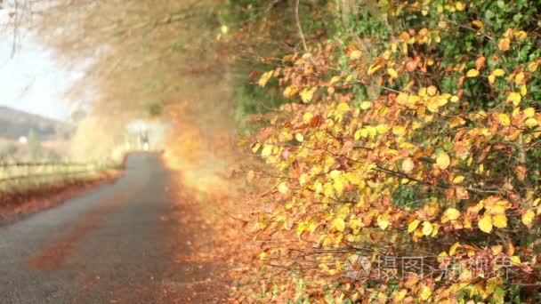 秋季农村公路视频