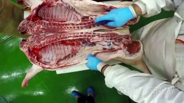 肉类加工厂视频