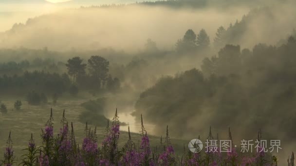 在黎明时分山雾河。全景景观