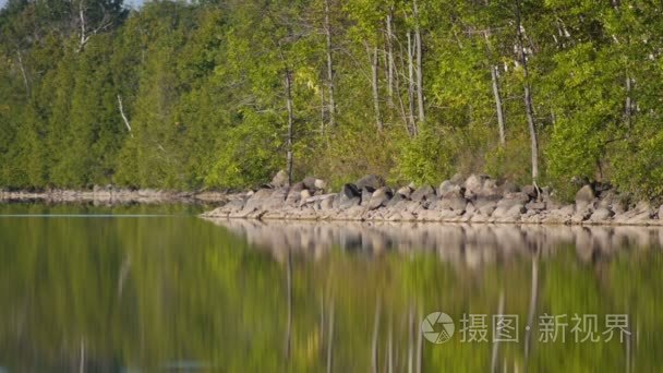 加拿大湖泊在夏季视频
