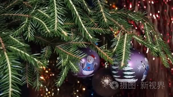 圣诞节装饰圣诞树上