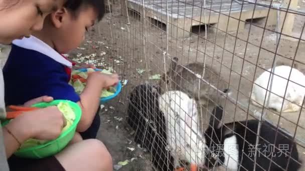亚洲孩子喂养兔关在笼子里视频