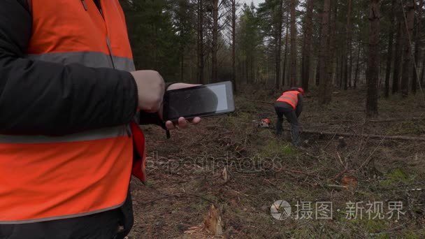 伐木工人在森林中使用平板电脑视频