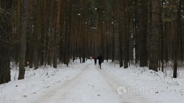 集团的年轻男性转轮