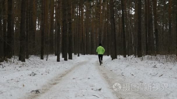 男性和女性的转轮