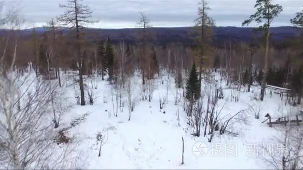 冬季森林航拍画面视频