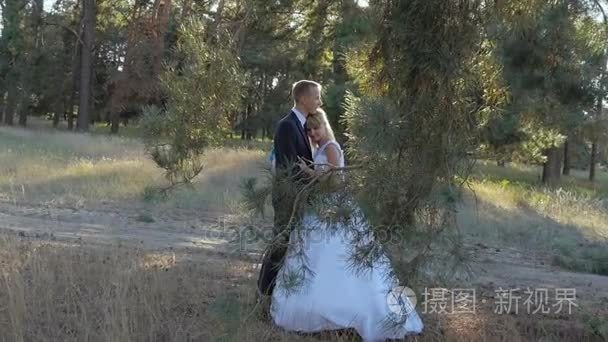 新郎抱新娘在一个公园在阳光下视频