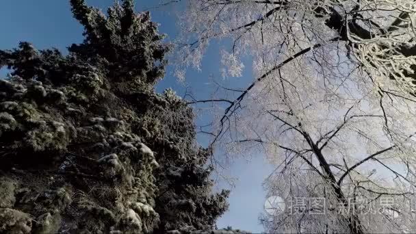 性质和天空的冬天美丽的风景视频