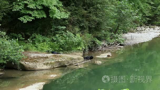 水下特种部队