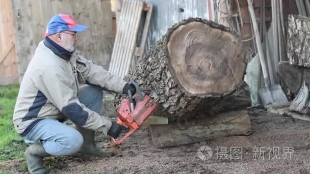 用链锯伐木工视频