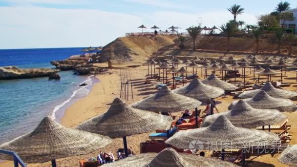 遮阳伞和日光浴浴床在埃及红海视频