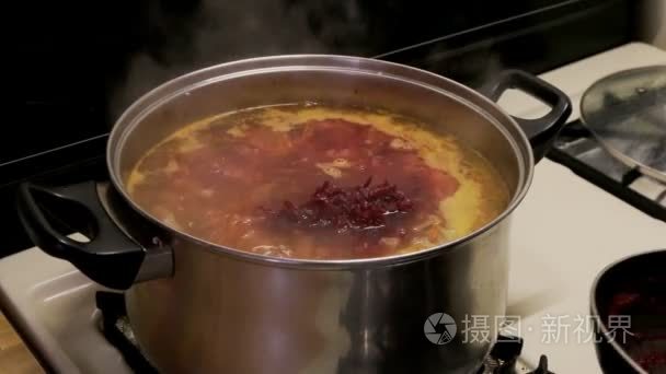 国家乌克兰汤罗宋汤烹饪视频