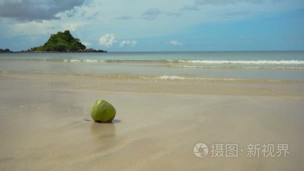 在沙滩上的绿椰子视频