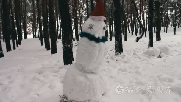 在圣克劳辛森林的帽子的雪人视频