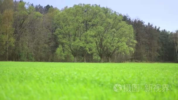 美丽乡村景观视频