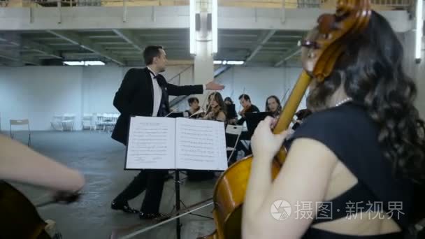 在交响乐大厅古典音乐的音乐家视频