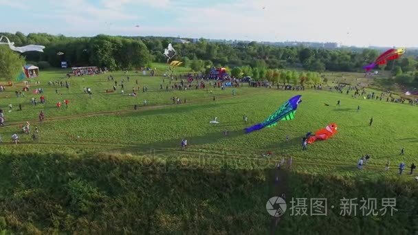 风筝飞以上人群拥挤的公园视频