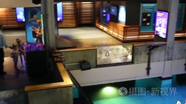 在波士顿的新英格兰水族馆的人视频