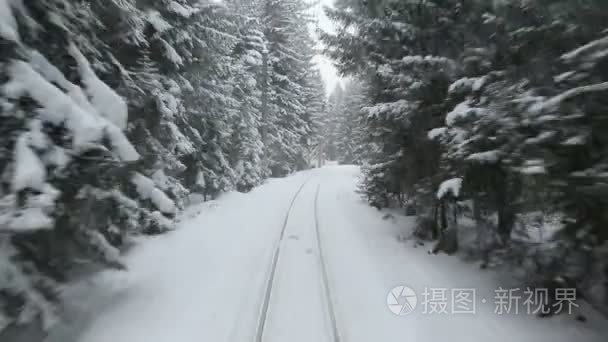通过下雪的冬天森林火车上视频