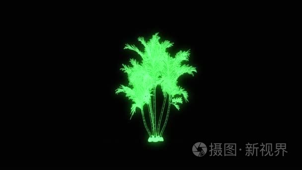 在线框全息图样式树植物。漂亮的 3d 渲染