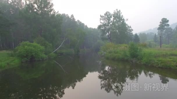 4 k.Prores 编解码器。从空中航拍视频。夏季森林与小山河