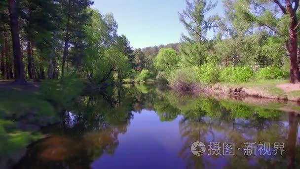 4 k.Prores 编解码器。从空中航拍视频。夏季森林与小山河