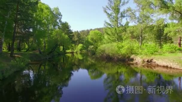 4 k.Prores 编解码器。从空中航拍视频。夏季森林与小山河