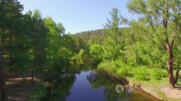 4 k.Prores 编解码器。从空中航拍视频。夏季森林与小山河