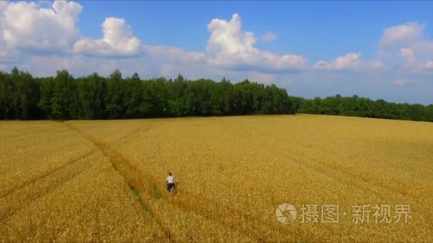 人骑自行车由成熟黑麦字段视频