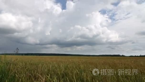 时间流逝，白云在蓝蓝的天空上飞越黄色字段小麦