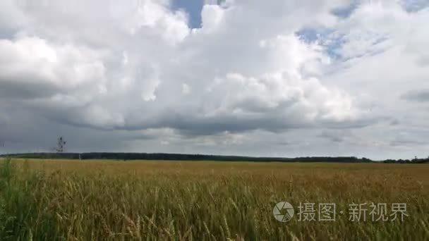 时间流逝，白云在蓝蓝的天空上飞越黄色字段小麦