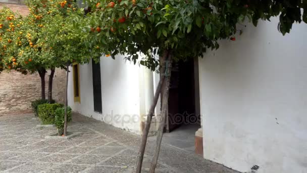 tos (彼拉多房子) 是塞维利亚,西班牙永久居留的