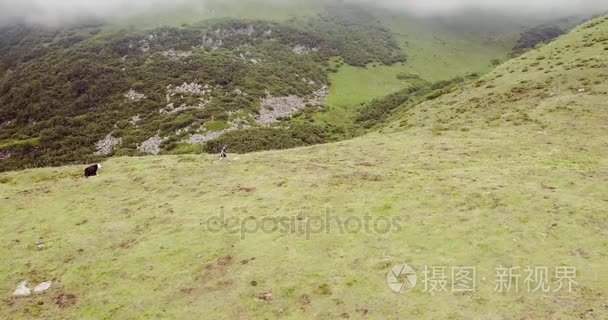 跑到山的小径赛跑者视频