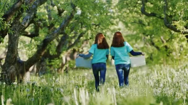 两个年轻的红发女农民来与苹果花园里的篮子。后面的观点。这对双胞胎姐妹们视频