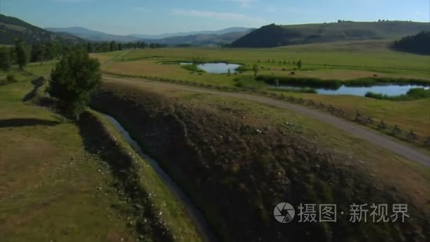 空中的谷与湖泊和牛的镜头视频