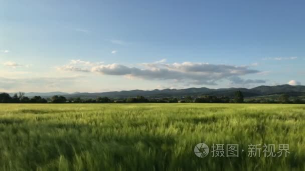 乡村景观与麦田上日落，4 k