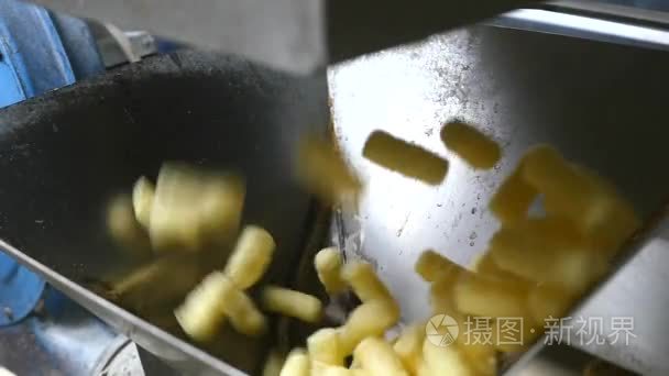 本厂生产的甜玉米棒视频
