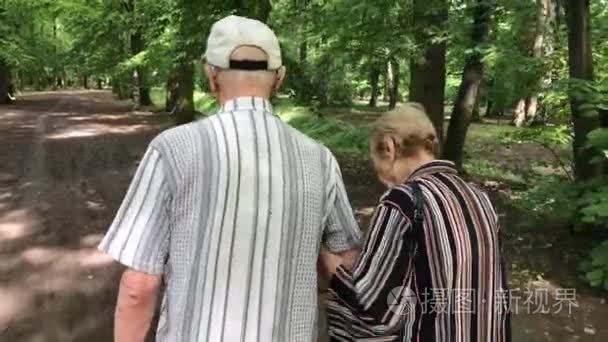 年长的夫妇享受夏天公园散步视频