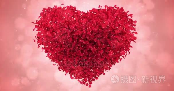 可爱的心红玫瑰花瓣形状背景循环 4 k