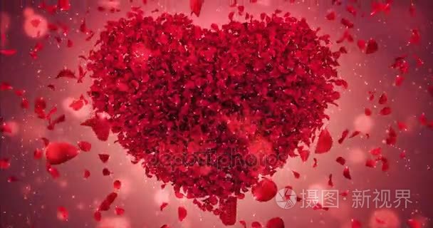 红玫瑰花朵落花瓣爱的心情人节婚礼背景循环 4 k