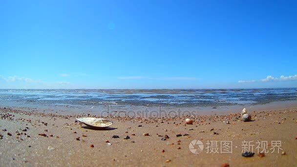 海滩上的芬兰湾的海岸视频