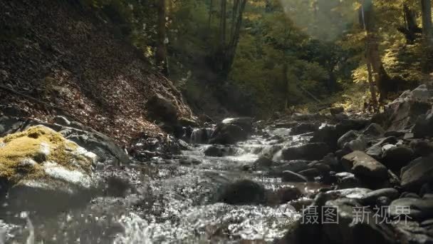 森林河流流量视频