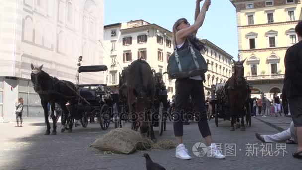 马吃干草在佛罗伦萨大教堂视频