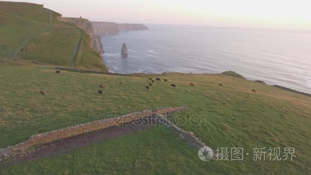 空中爱尔兰乡村旅游胜地在克莱尔郡。莫赫悬崖和爱尔兰的城堡。史诗般的爱尔兰景观，野生大西洋路上。美丽风景秀丽的爱尔兰自然。平的视频视频