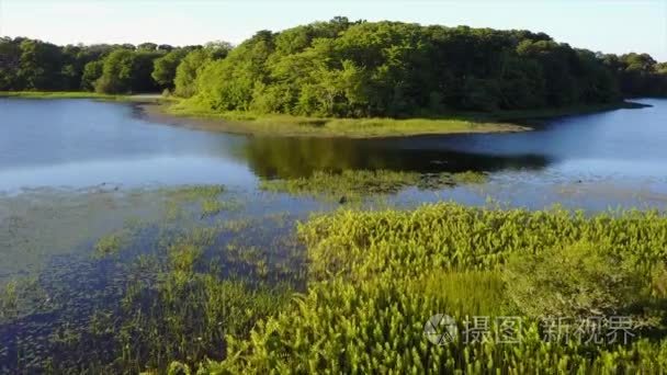 科德角的美丽湖风光视频